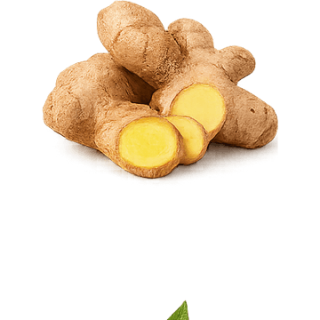 Gyömbér